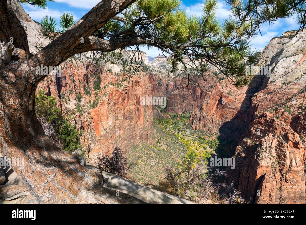 El Parque Nacional Zion está ubicado en el suroeste de Utah en la frontera con Arizona. Tiene una superficie de 579 kö² y se encuentra entre 1128 m y 2660 m de altitud. Angels Landing, vista al valle del río Virgen Foto de stock