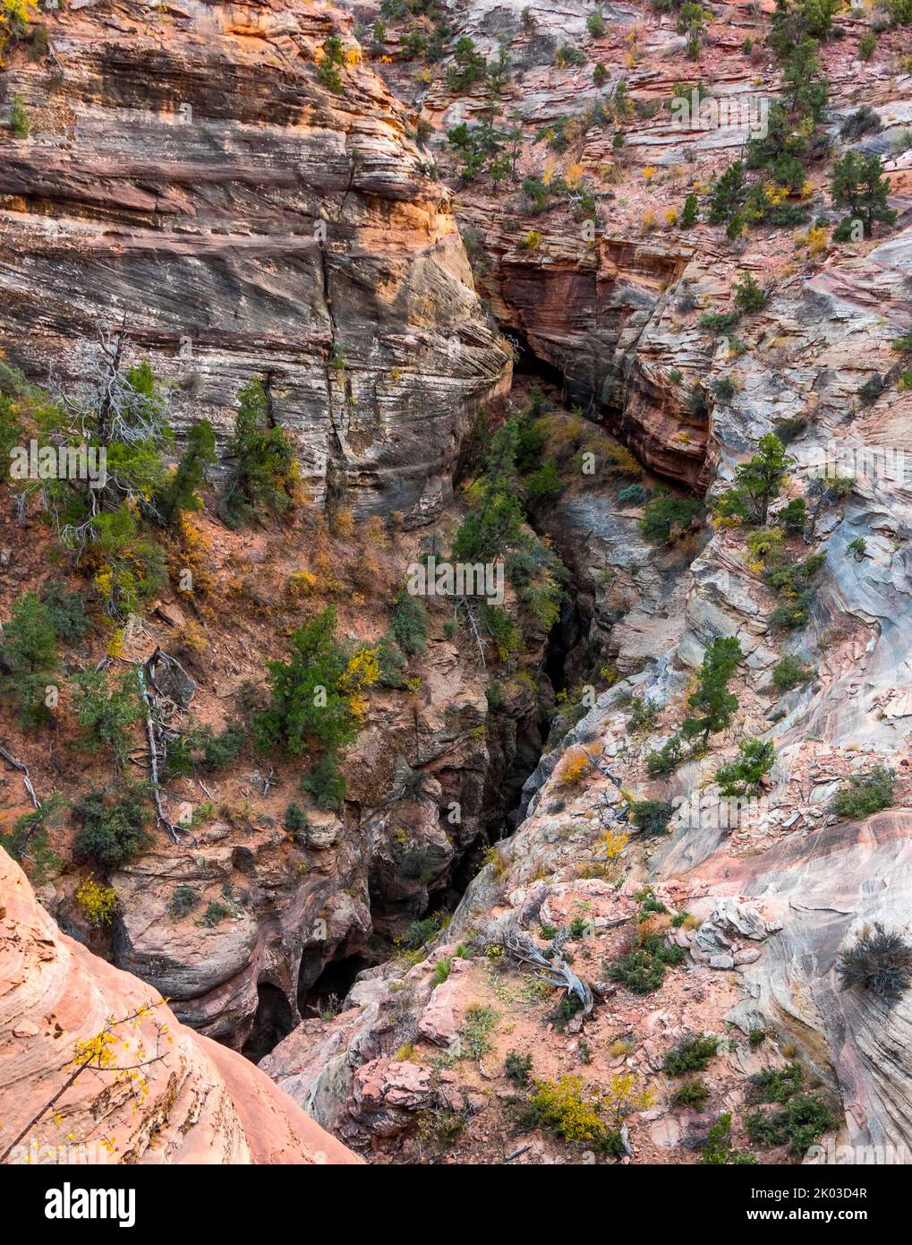 El Parque Nacional Zion está ubicado en el suroeste de Utah en la frontera con Arizona. Tiene una superficie de 579 kö² y se encuentra entre 1128 m y 2660 m de altitud. Vista desde la ruta Canyon Overlook Trail hacia Pine Creek Canyon. Foto de stock