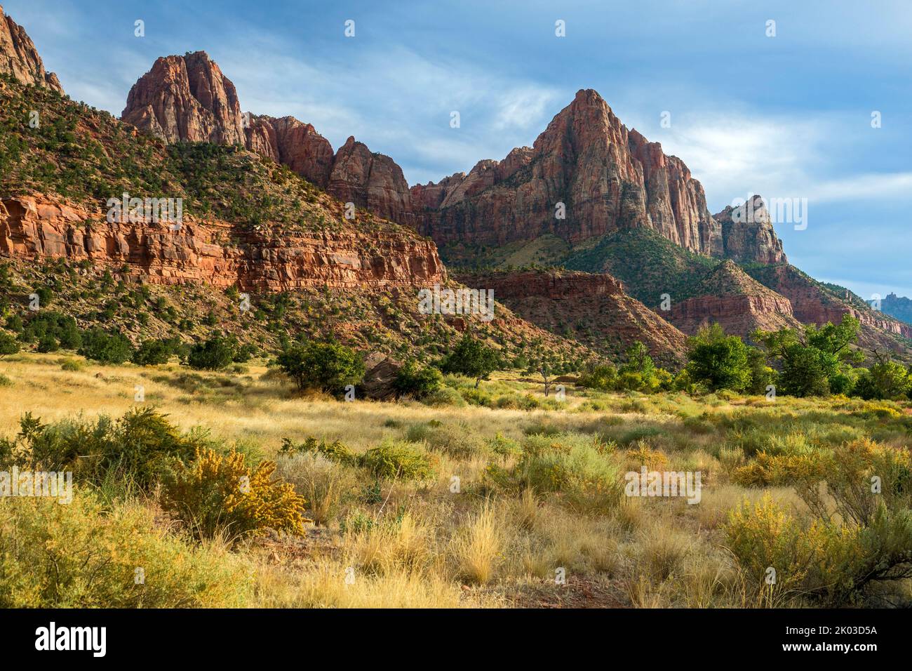 El Parque Nacional Zion está ubicado en el suroeste de Utah en la frontera con Arizona. Tiene una superficie de 579 kö² y se encuentra entre 1128 m y 2660 m de altitud. Paisaje en el sendero Pa'rus. Vista a la montaña el Watchman. Foto de stock