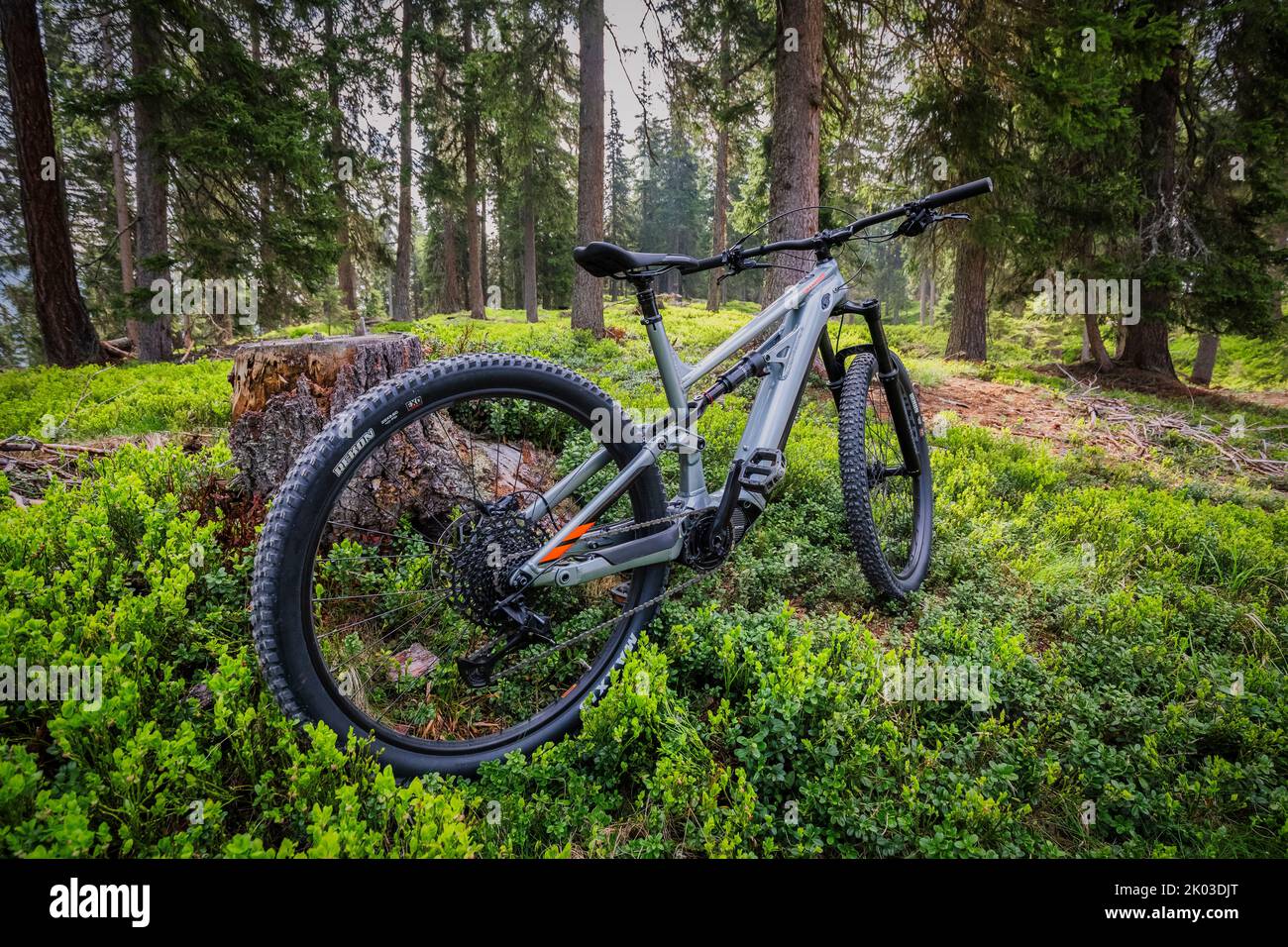 Italia, Dolomitas, una moderna e-bike / e-mtb en el bosque, la movilidad verde Foto de stock