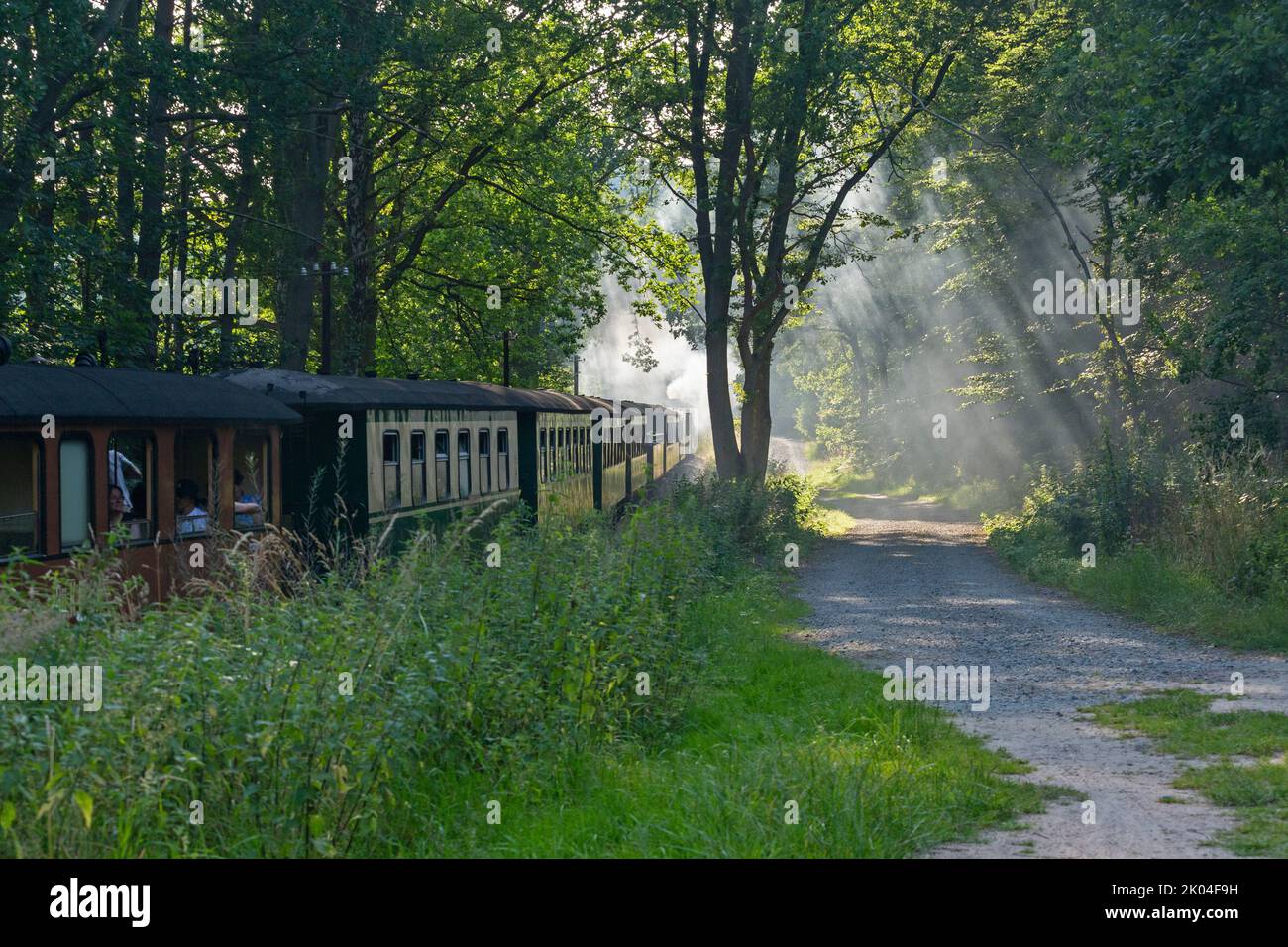 Tren de vapor Rasender Roland, cerca de Sellin, Isla Rügen, Mecklemburgo-Pomerania Occidental, Alemania Foto de stock