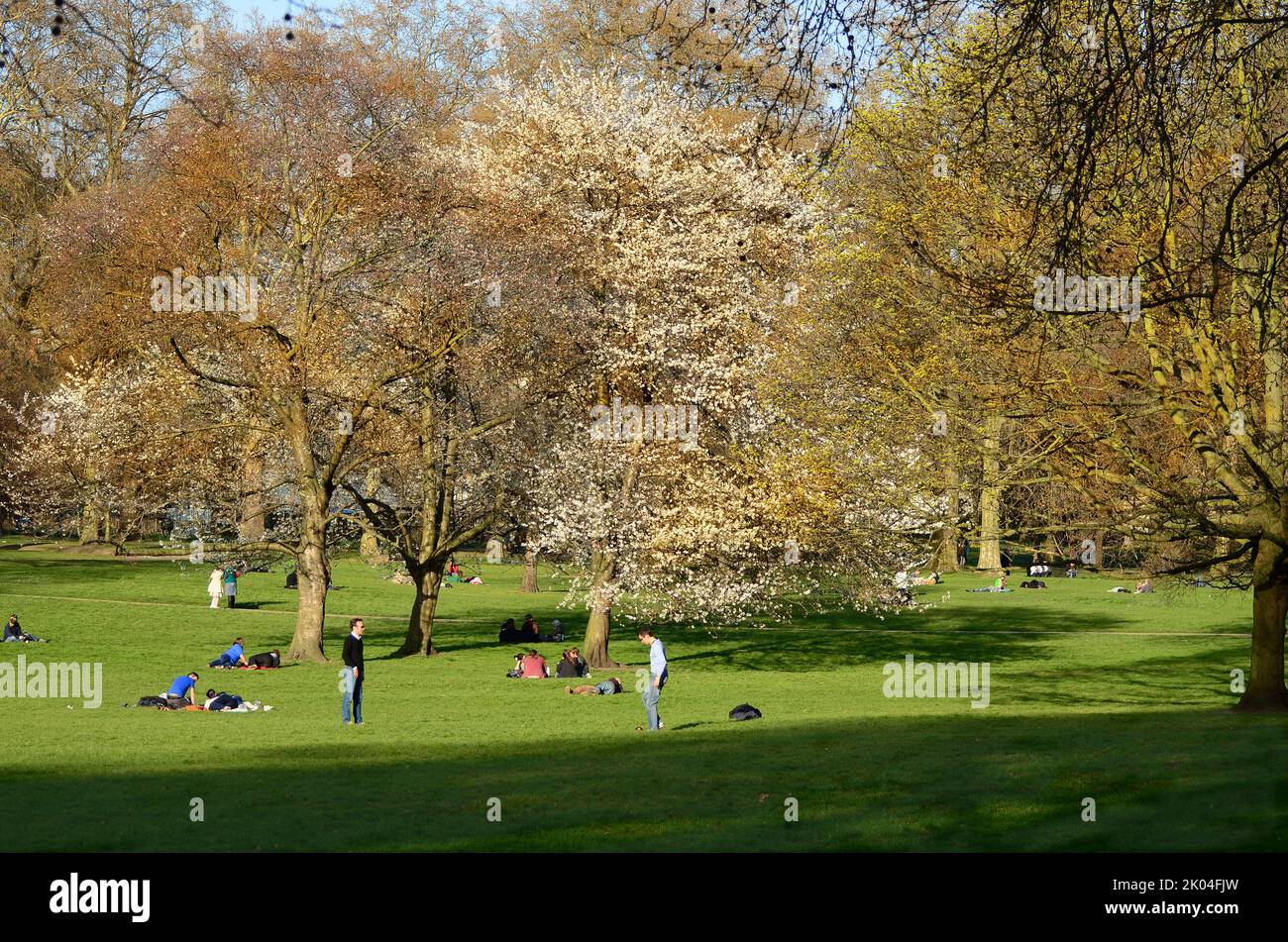 Escena de principios de verano en Hyde Park, Londres, Reino Unido Foto de stock