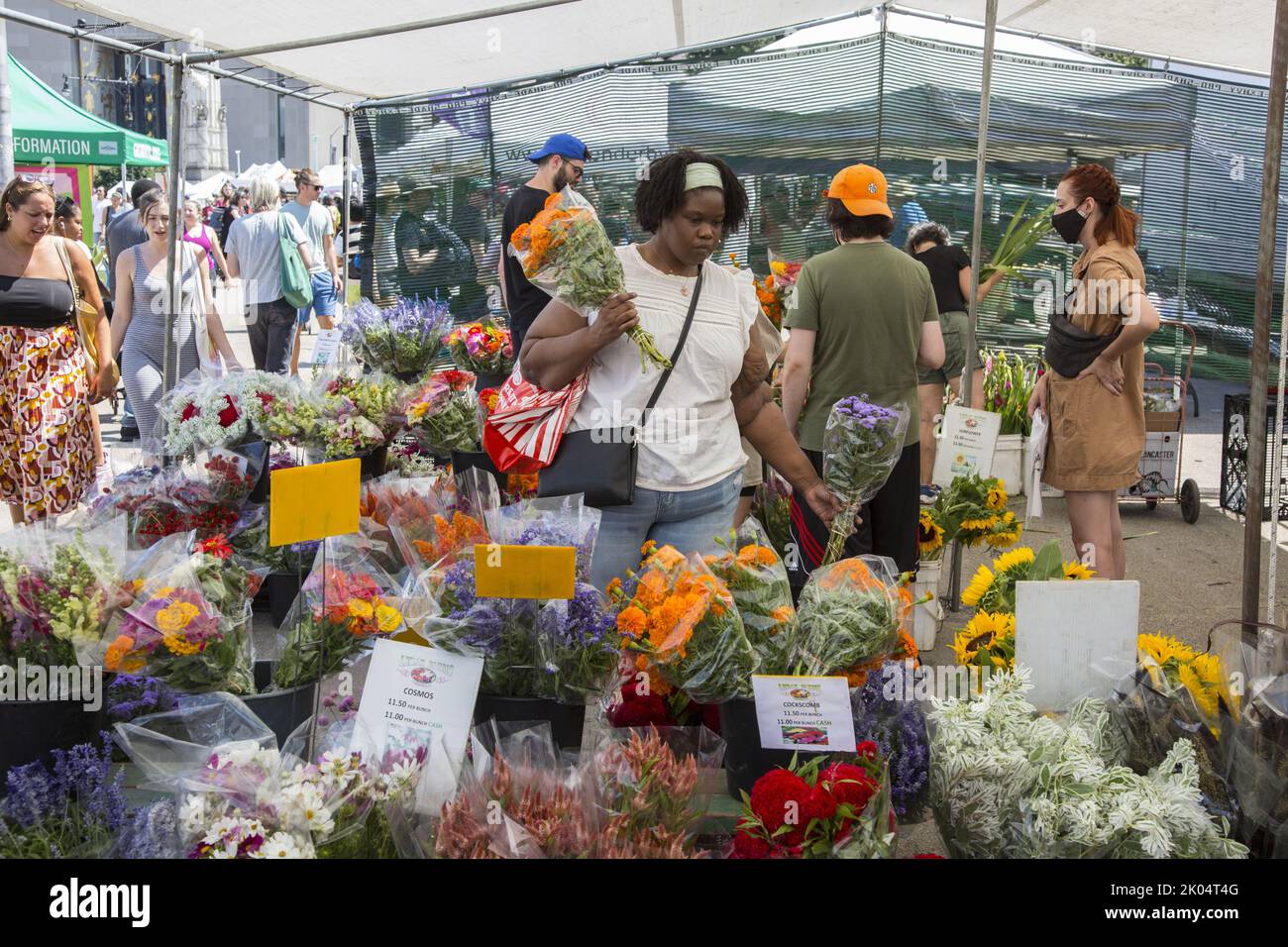 La gente va de compras durante el verano al Farmers Market en Grand Army Plaza en Prospect Park, Brooklyn, Nueva York. Decidir qué ramo de flores comprar en el mercado. Foto de stock