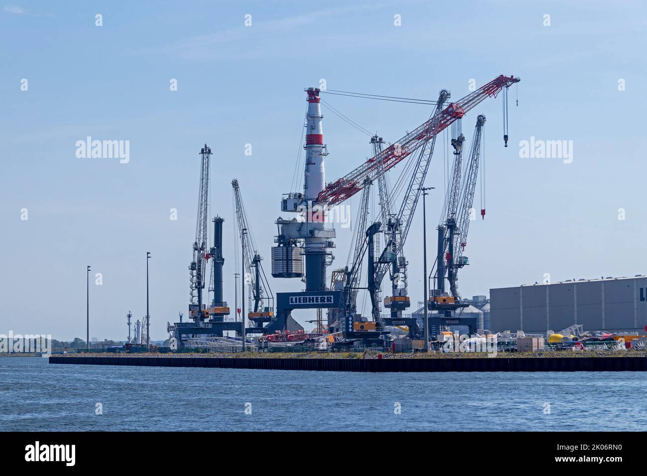 Grúas en el puerto, Warnemünde, Rostock, Mecklemburgo-Pomerania Occidental, Alemania Foto de stock