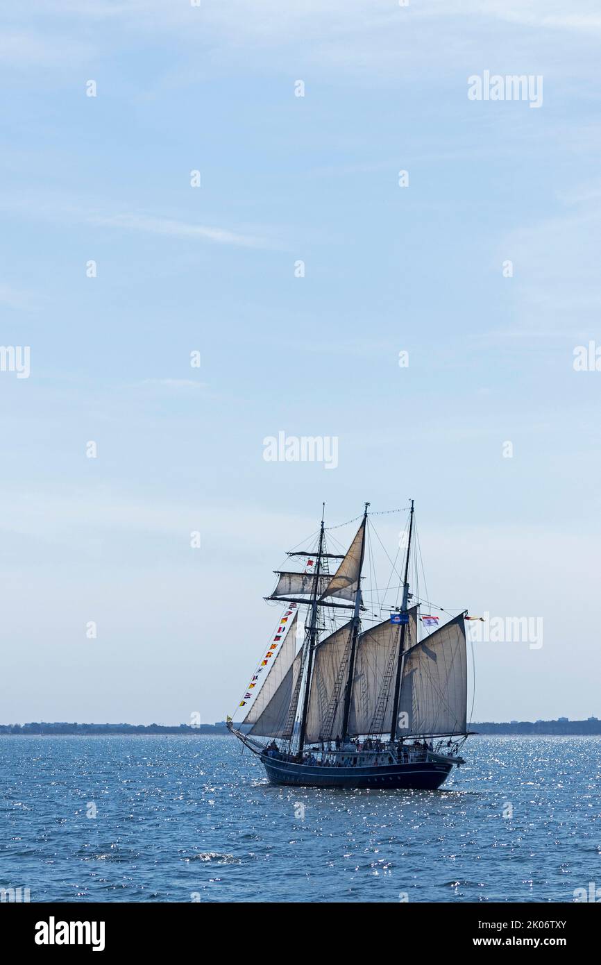 velero, Mar Báltico, Hanse Sail, Warnemünde, Rostock, Mecklemburgo-Pomerania Occidental, Alemania Foto de stock
