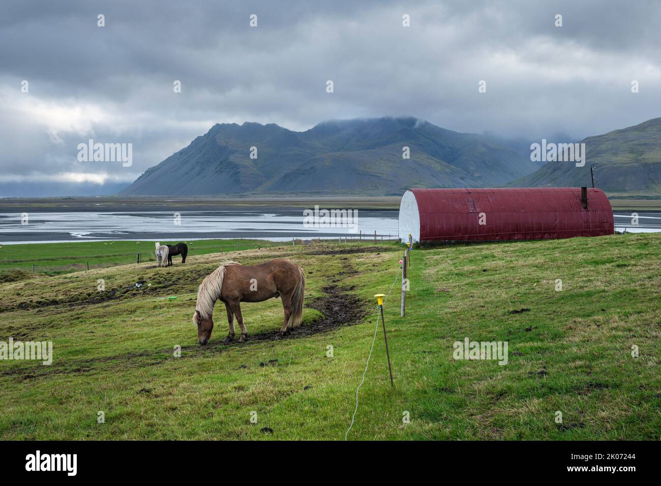 Caballos islandeses en la granja Brekka í Lóni, Stafafell, con la cordillera de Klifatindur al fondo, cerca de Hofn, Islandia Foto de stock