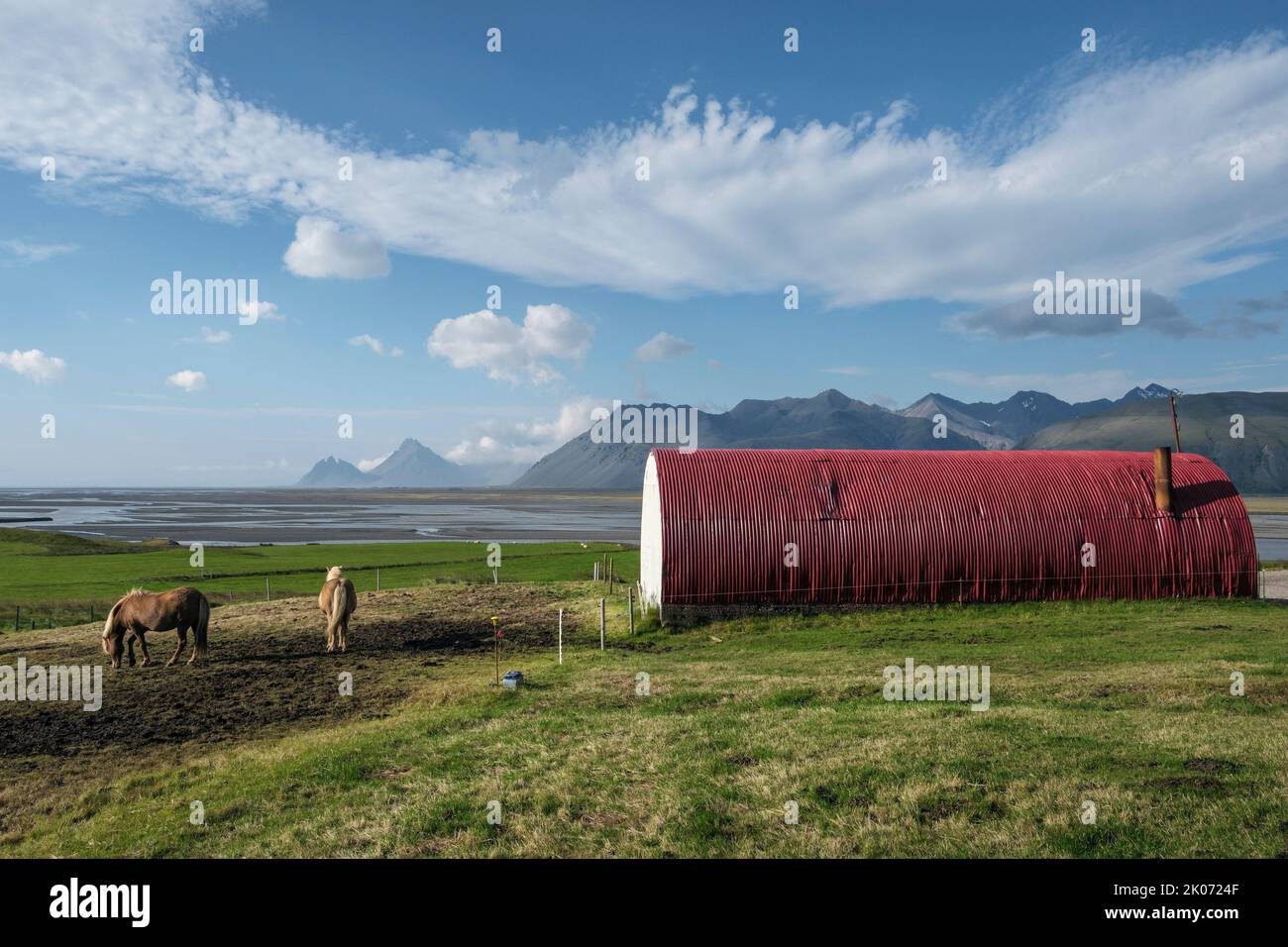 Caballos islandeses en la granja Brekka í Lóni, Stafafell, con la cordillera de Klifatindur al fondo, cerca de Hofn, Islandia Foto de stock