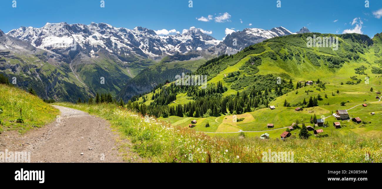 El panorama de los alpes berneses con los picos Jungfrau, Monch y Eiger sobre los prados de los alpes. Foto de stock