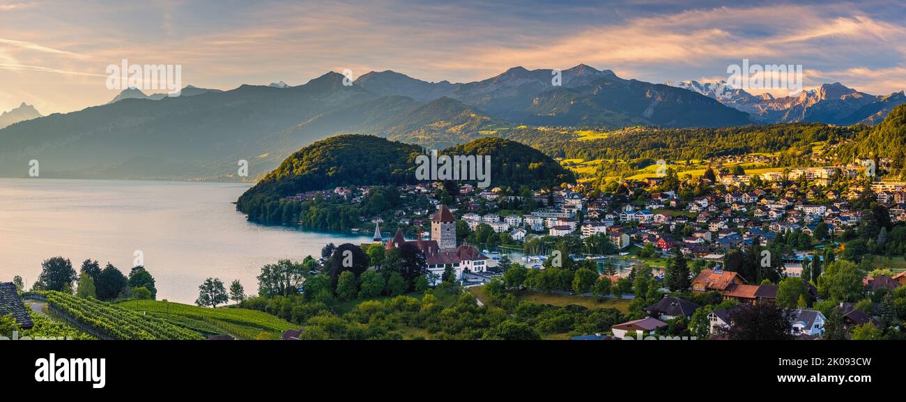 Una imagen panorámica de un hermoso amanecer de verano en Spiez en el lago Thun, ubicado en el Oberland bernés. Spiez forma parte del cantón suizo de Berna IN Foto de stock