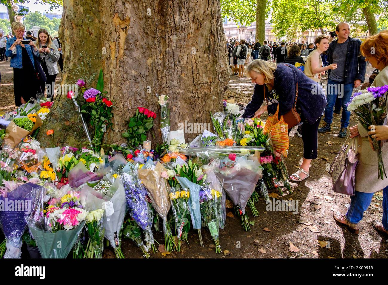 Londres, Reino Unido, 10th de septiembre de 2022. Miles de homenajes florales a Su Majestad la Reina Isabel II se depositan en Green Park, muchos de ellos acompañados por mensajes de adultos y niños. Foto de stock
