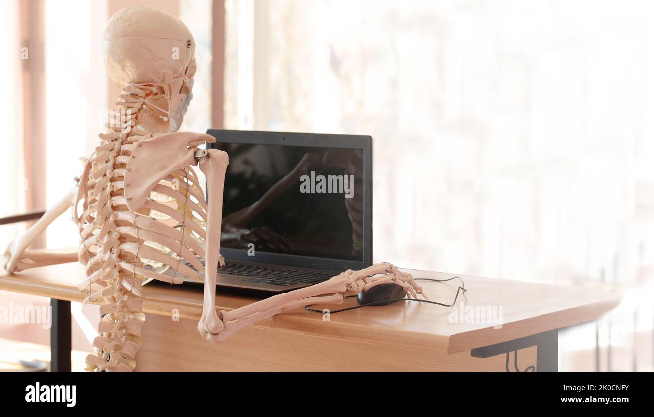 Skeleton Useing Computer Todavía Esperando Computadora Esqueleto