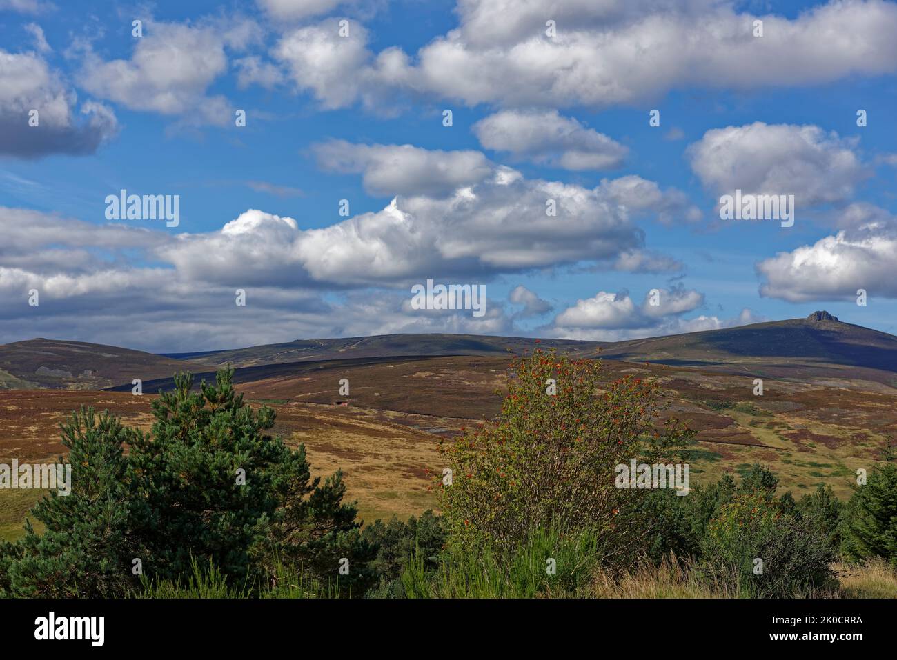 Hill of Duclash y Cairn de Finglenny sobre Glen Dye en las Tierras Altas escocesas de Aberdeenshire en un buen día de septiembre, Foto de stock