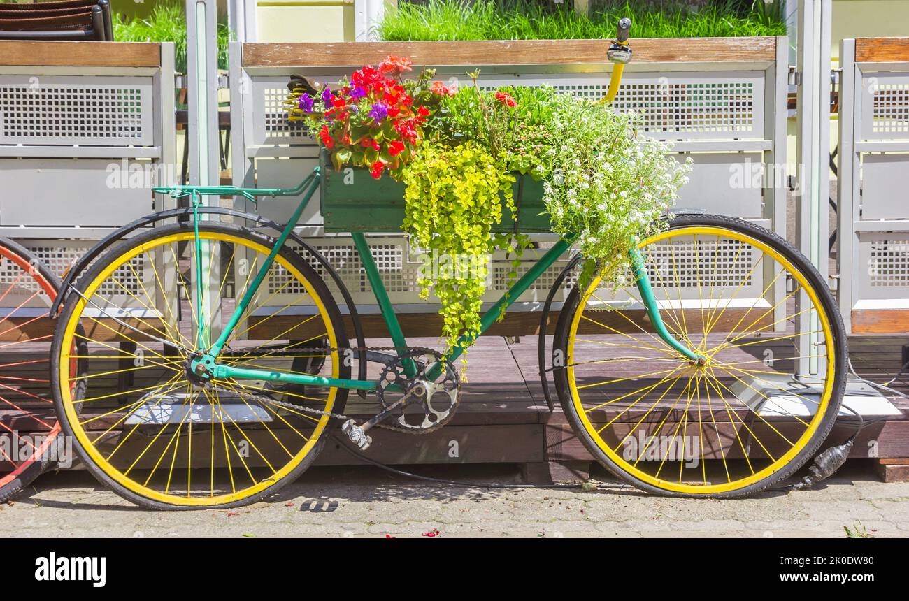 Bicicleta verde colorida decorada con flores en Plock, Polonia Foto de stock