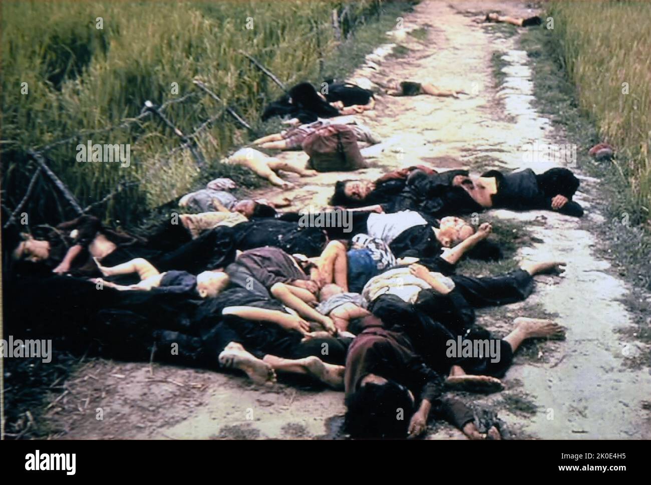La masacre de My Lai, fue el asesinato masivo de civiles vietnamitas desarmados por tropas estadounidenses en el distrito de Son Tinh, Vietnam del Sur, el 16 de marzo de 1968 durante la Guerra de Vietnam. Entre 347 y 504 personas desarmadas fueron asesinadas por soldados del Ejército de los Estados Unidos. Foto de stock
