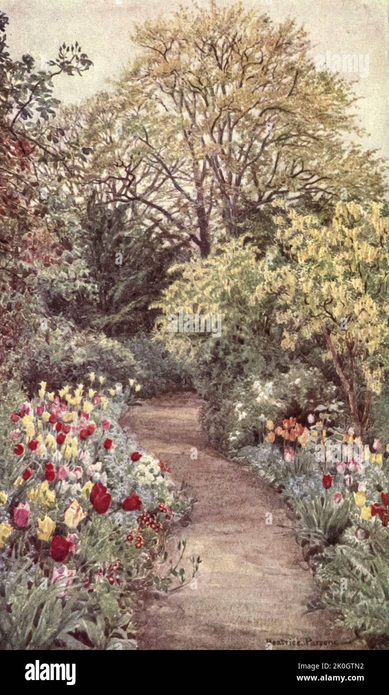 Tulipanes en el 'Jardín de la Paz' Desde el Encanto de los Jardines Por Dion Clayton Calthrop (1878-1937) Autor inglés, ilustrador publicado en 1910 Foto de stock