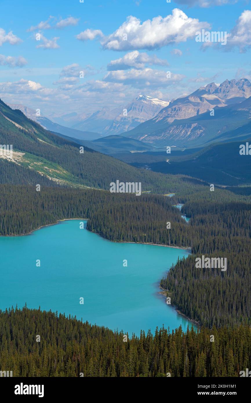 Vista aérea del lago Peyto, Parque Nacional Banff, Alberta, Canadá. Foto de stock