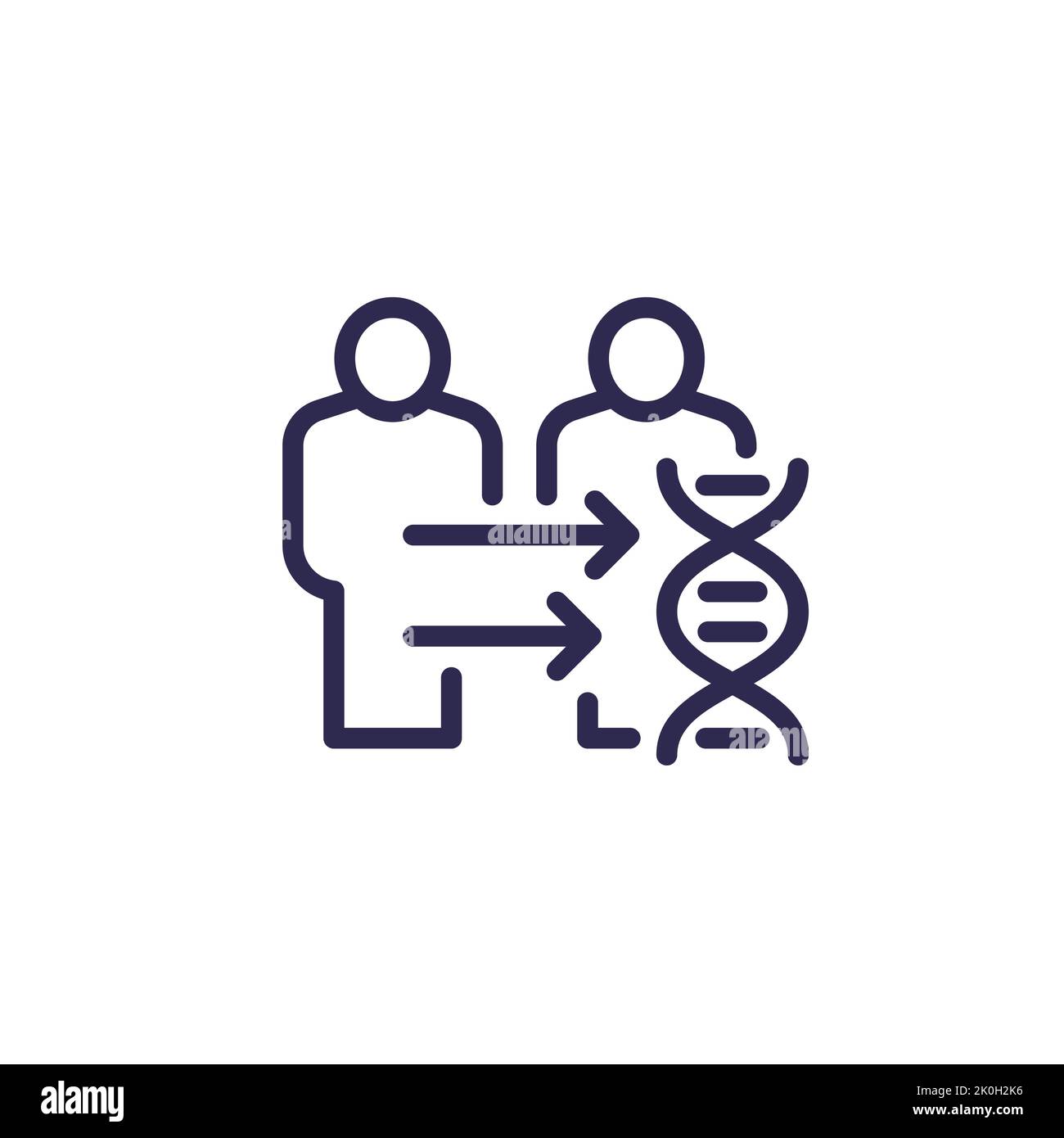 clonación o clones icono de línea con adn Imagen Vector de stock - Alamy