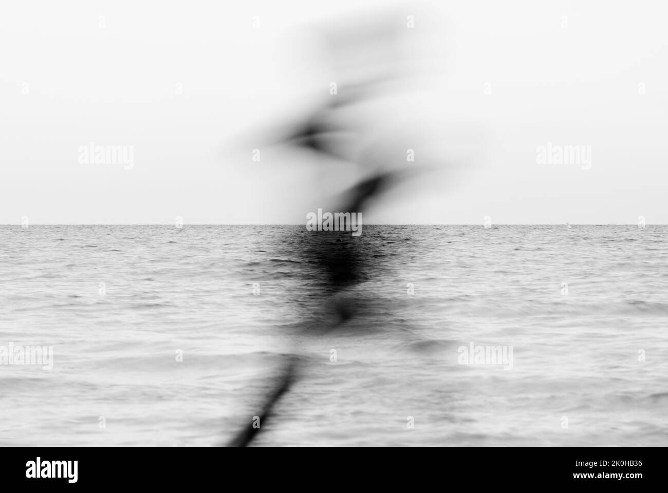Concepto de una caminata humana cerca del mar Foto de stock