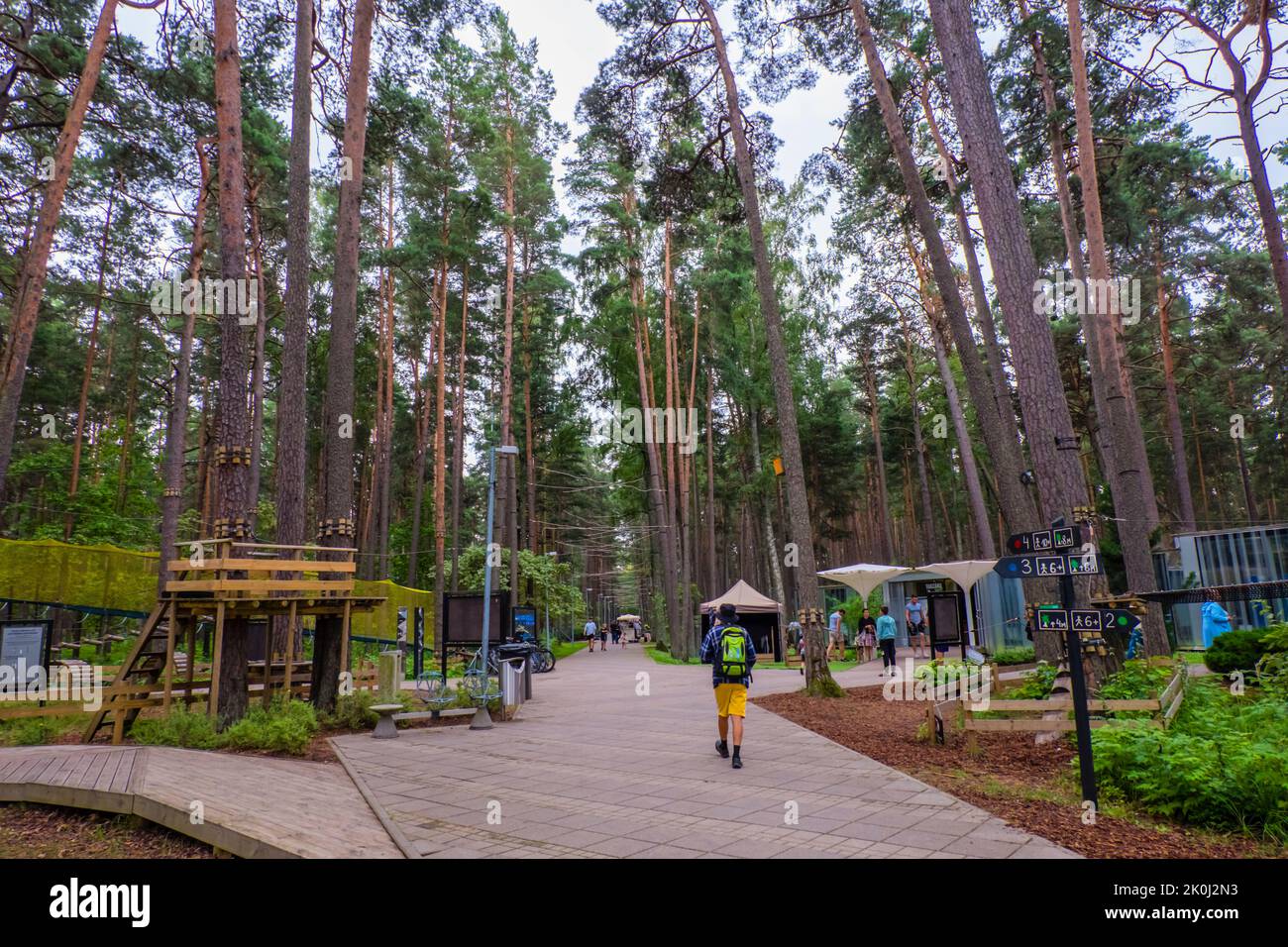 Parque de aventuras Tarzán, Dzintaru mežaparks, Dzintari, Jurmala, Letonia Foto de stock