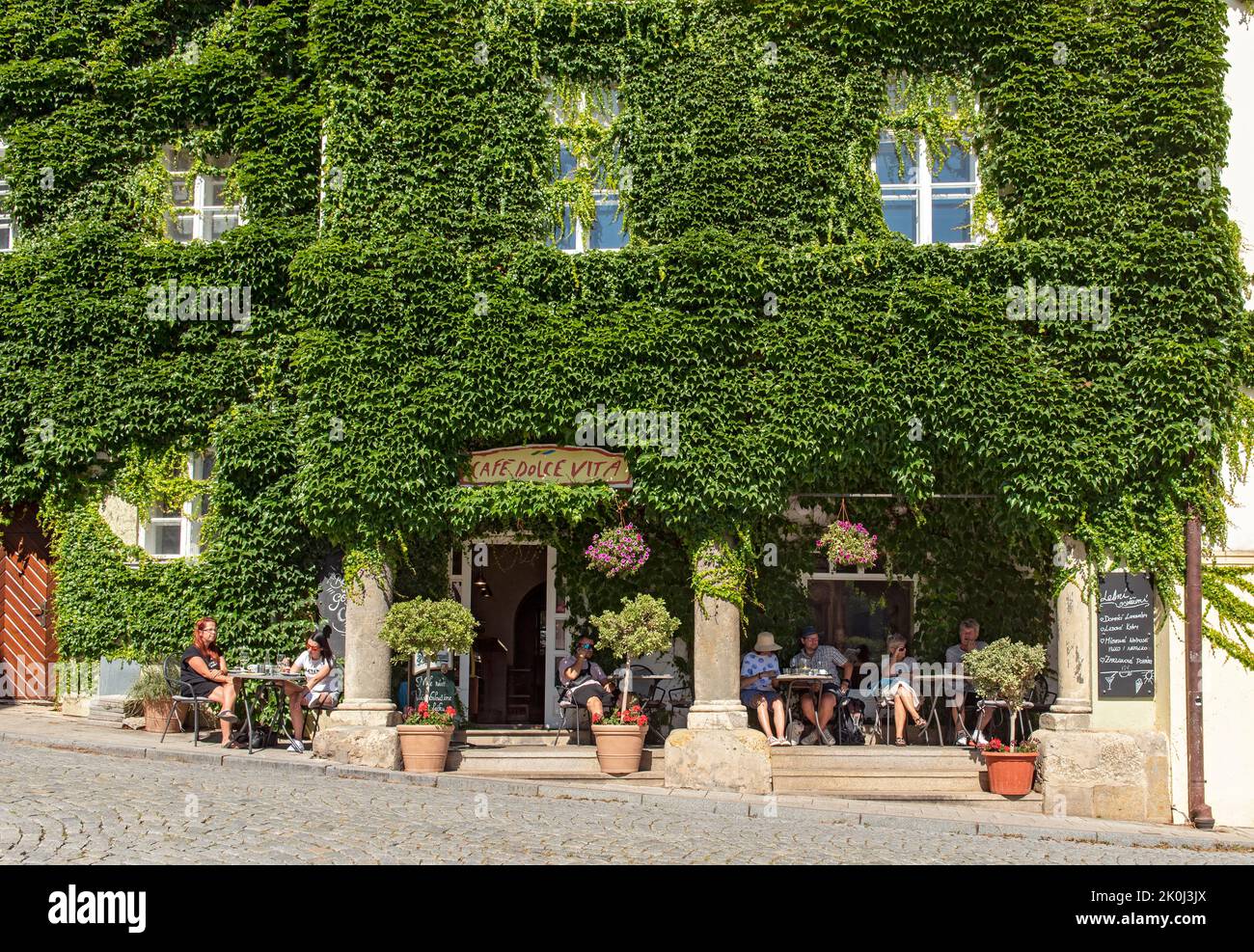 Cafe Dolce Vita con pared verde de hiedra, Mikulov, República Checa Foto de stock