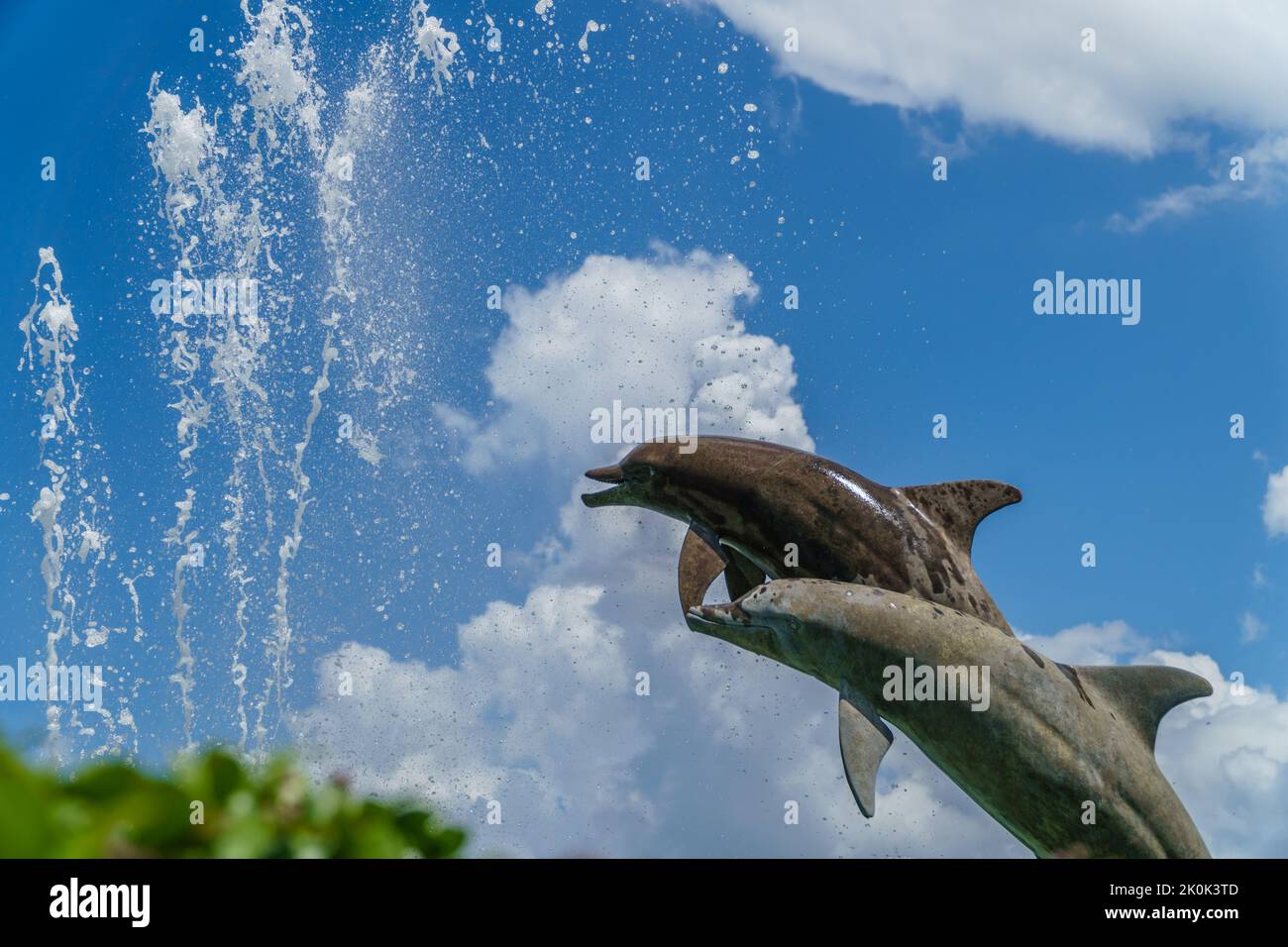 Sarasota, FL, EE.UU.-26 de noviembre de 2021: Icónica estatua de marsopas, también conocida como delfines, en Bayfront, un parque público. Foto de stock
