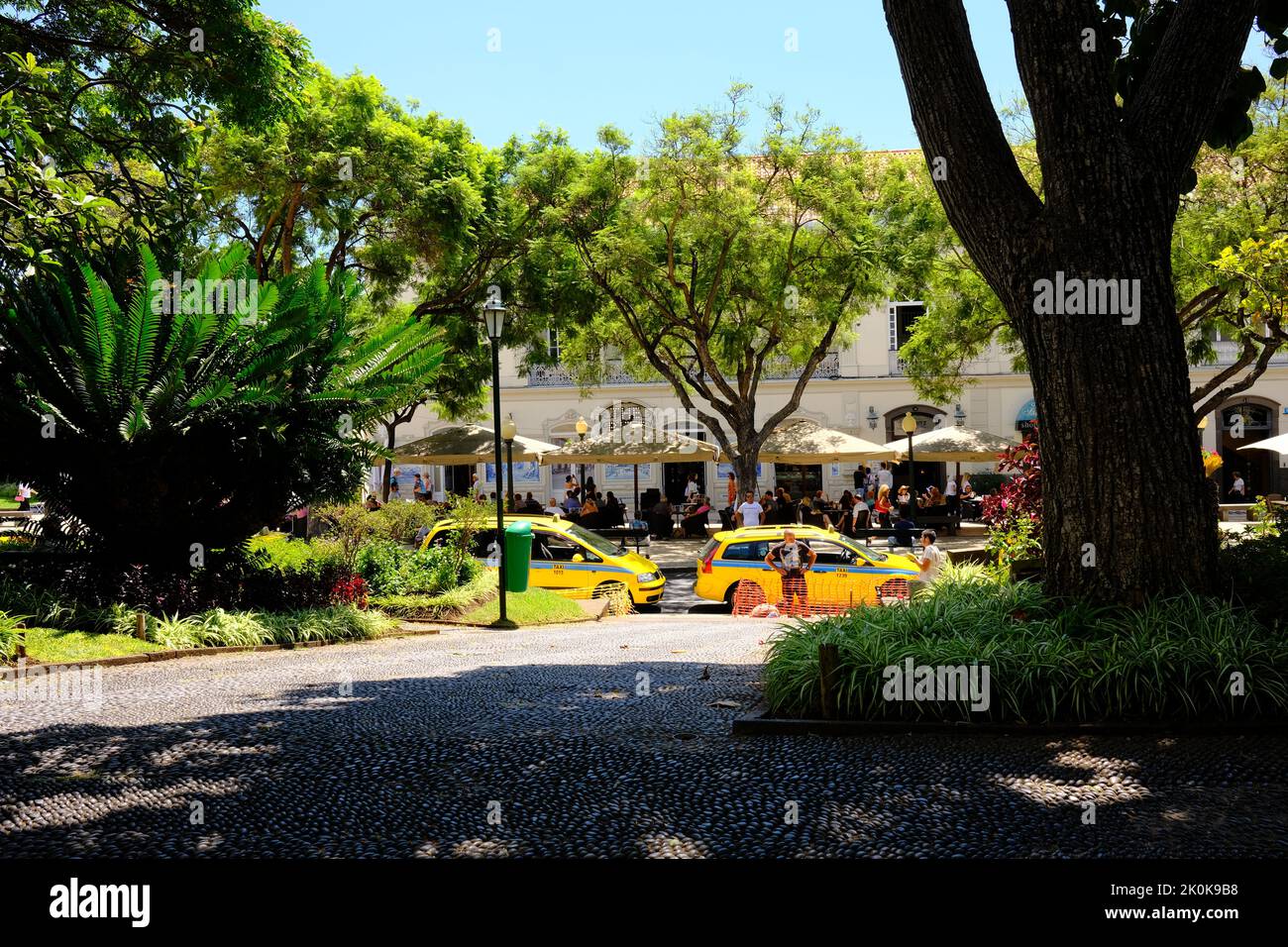 Jardim Municipal, Jardines de la ciudad, Funchal Madeira, Portugal Foto de stock