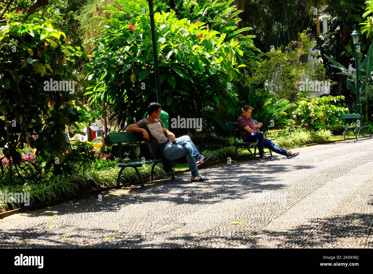 Jardim Municipal, Jardines de la ciudad, Funchal Madeira, Portugal Foto de stock