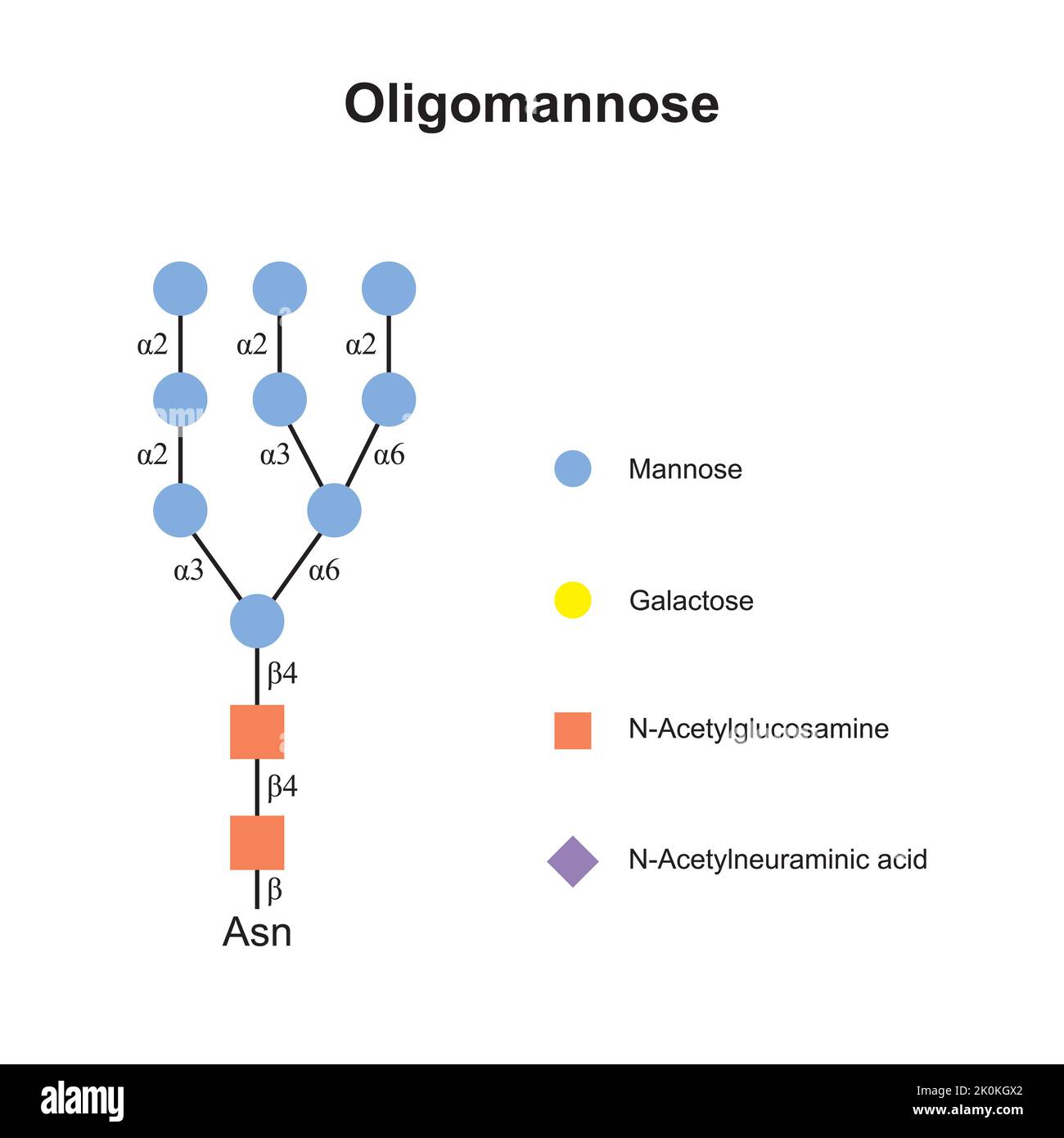 Diseño científico de N-glicanos Oligomanose. Símbolos de colores