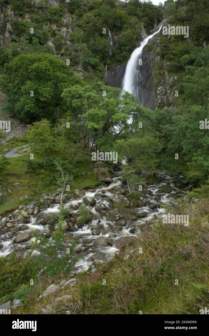 Cascada llamada Aber cae en Coedydd Reserva Natural Nacional, Conwy, Gales, Reino Unido Foto de stock