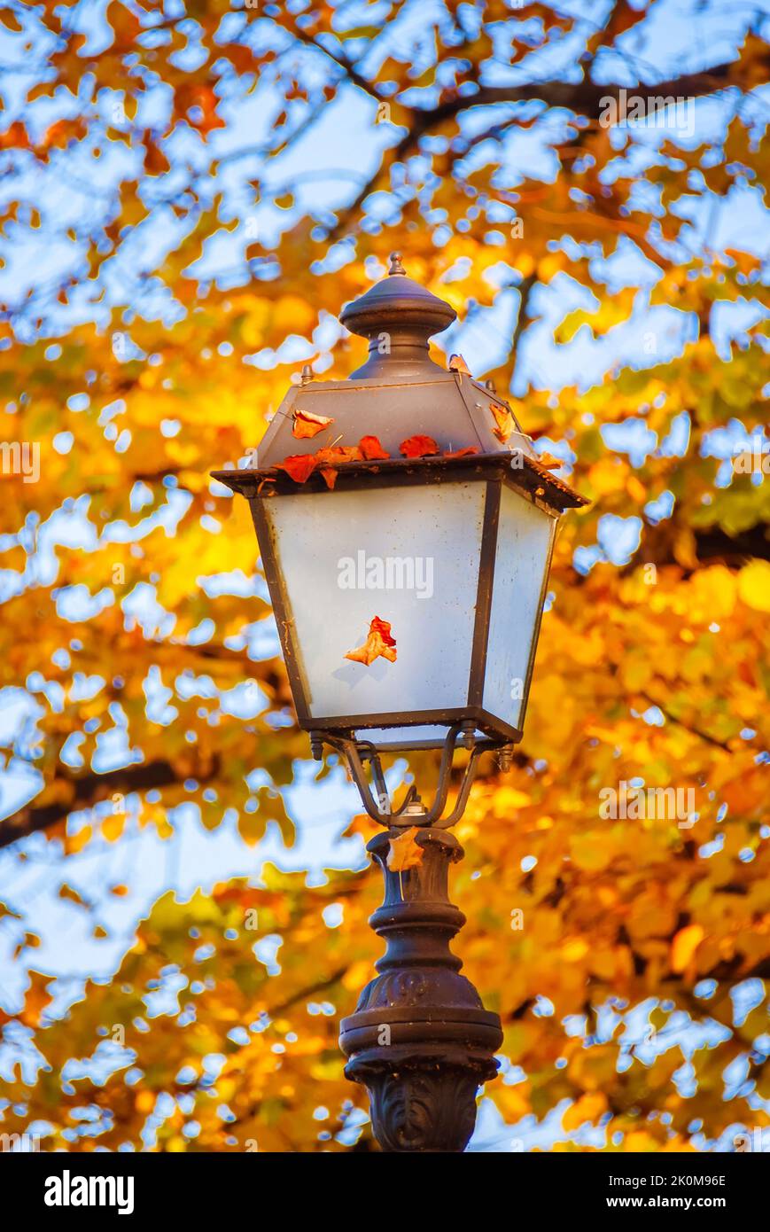 Otoño y follaje en el parque. Lámpara urbana vintage entre hojas otoñales Foto de stock