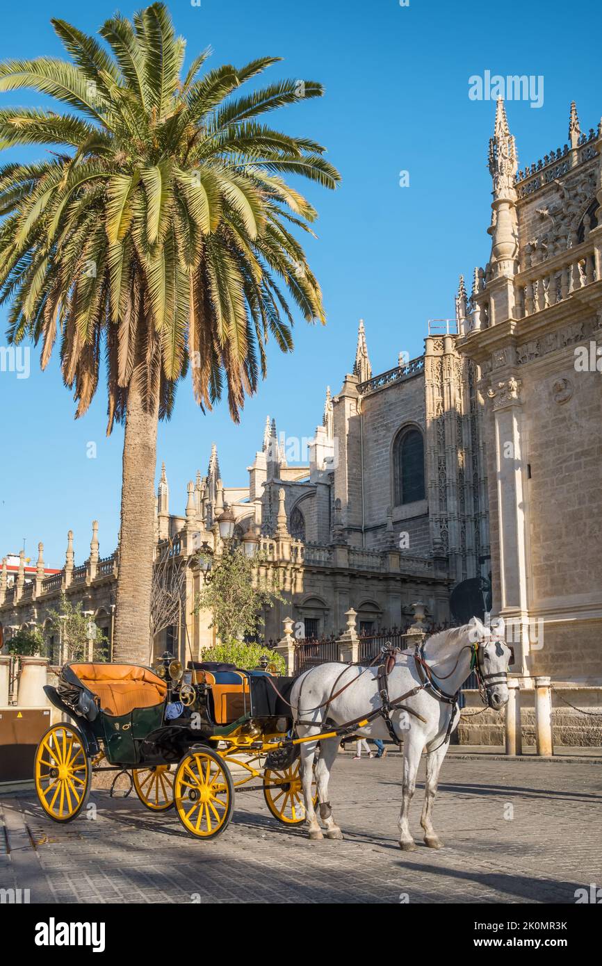 Carruaje de caballos en Sevilla, cerca de la catedral de la Giralda, Andalucía, España Foto de stock
