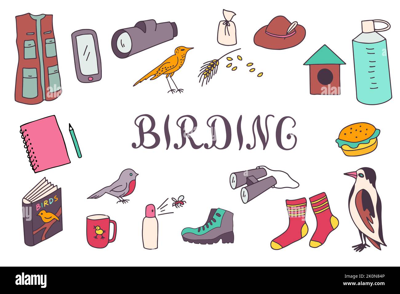 Equipo para observadores de aves y letras para pájaros. Juego de artículos para la observación de aves. Ilustración del Vector