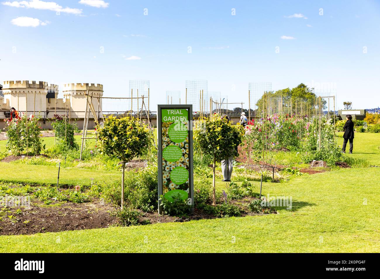Jardín de prueba en el Real Jardín Botánico para explorar nuevas especies de plantas y realizar ensayos en el centro de la ciudad de Sídney, Nueva Gales del Sur, Australia Foto de stock