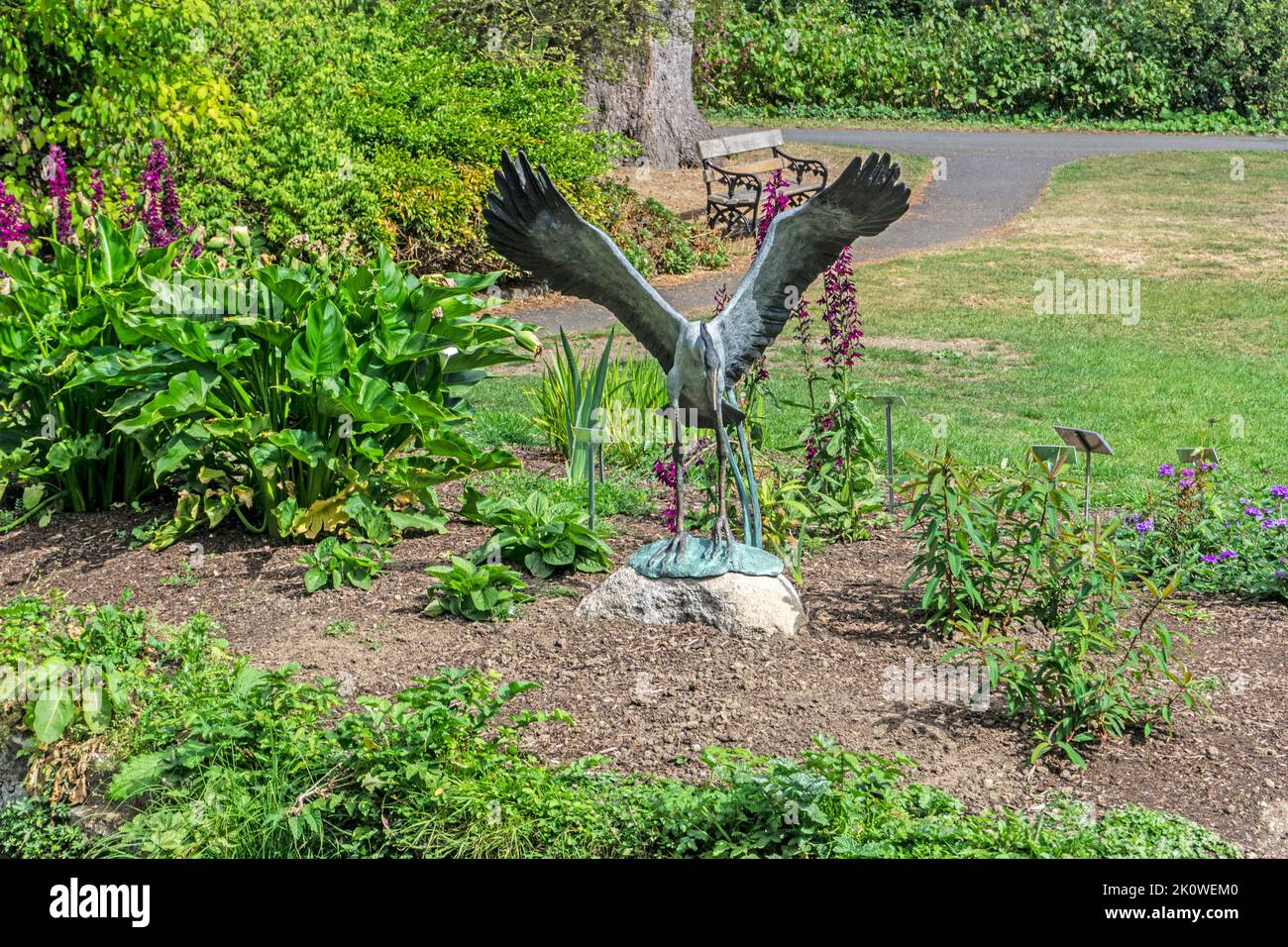 La escultura de bronce de Ester Barrett, Taking Flight, forma parte de la serie Escultura en contexto del Jardín Botánico Nacional de Irlanda. Foto de stock