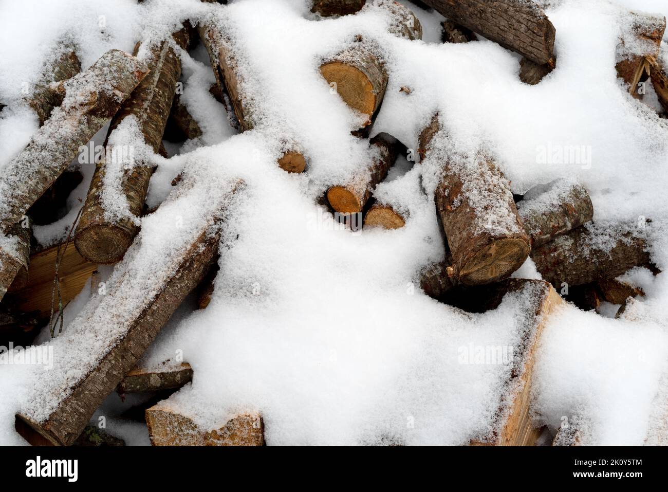 Cortar troncos para leña en los elementos cubiertos de nieve mientras se secan durante los meses de invierno. Foto de stock