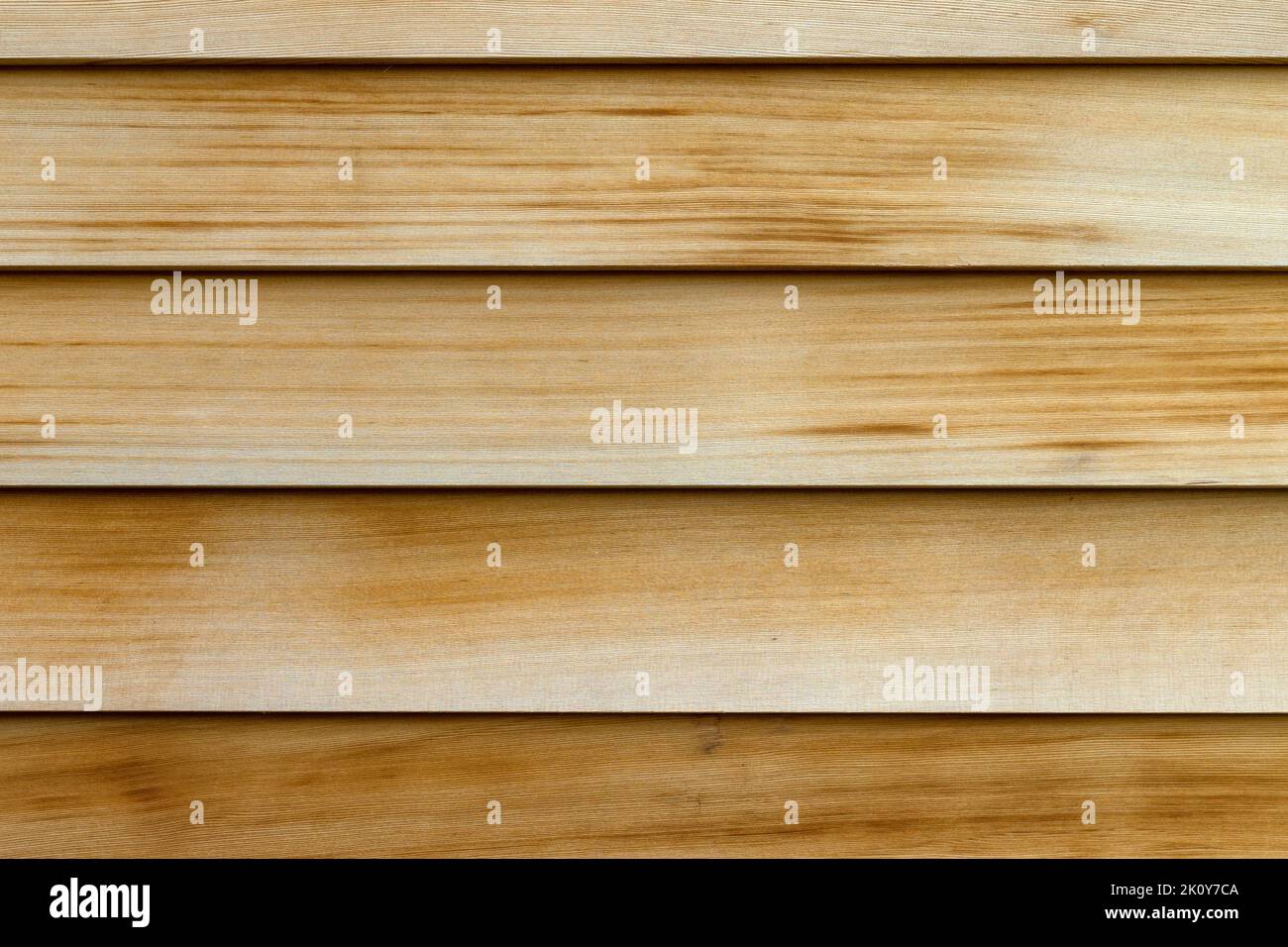 Vista de cerca de las filas horizontales de paredes de madera de cedro como una pared exterior en la luz de la mañana temprano. Foto de stock