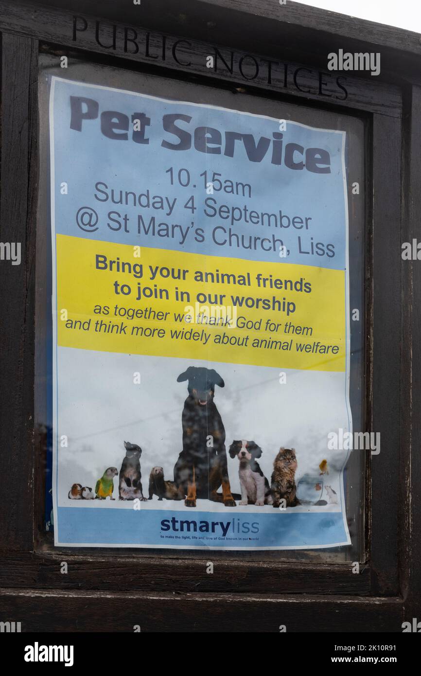 Aviso en el tablón de anuncios de la iglesia sobre un servicio de mascotas, Inglaterra, Reino Unido Foto de stock