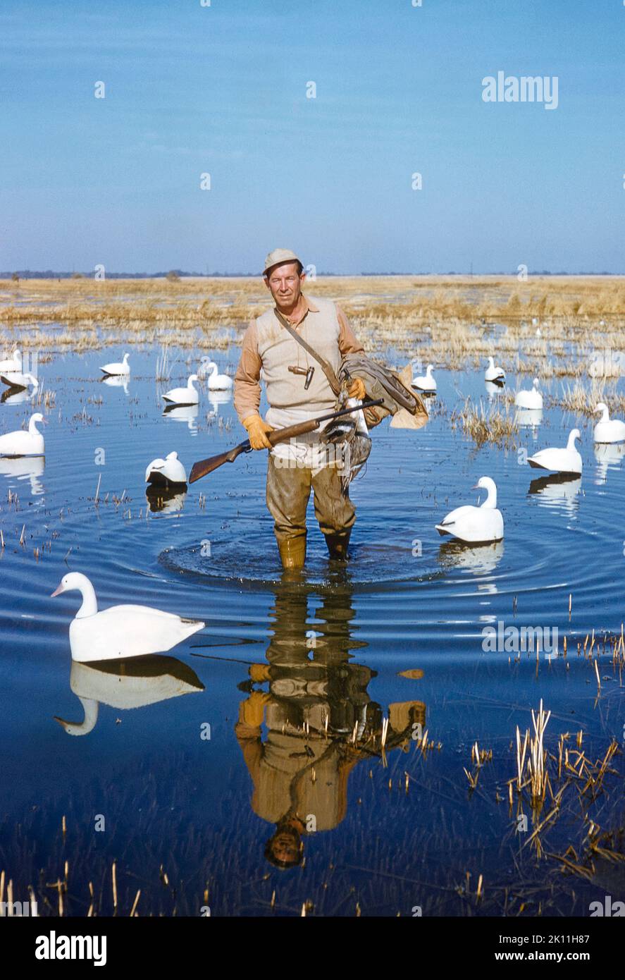 Man Waterfowl Hunting, Nevada, EE.UU., Toni Frissell Collection, noviembre de 1958 Foto de stock