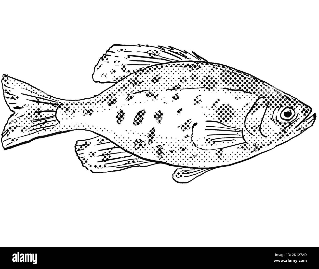 Mojarra fish Imágenes de stock en blanco y negro - Alamy