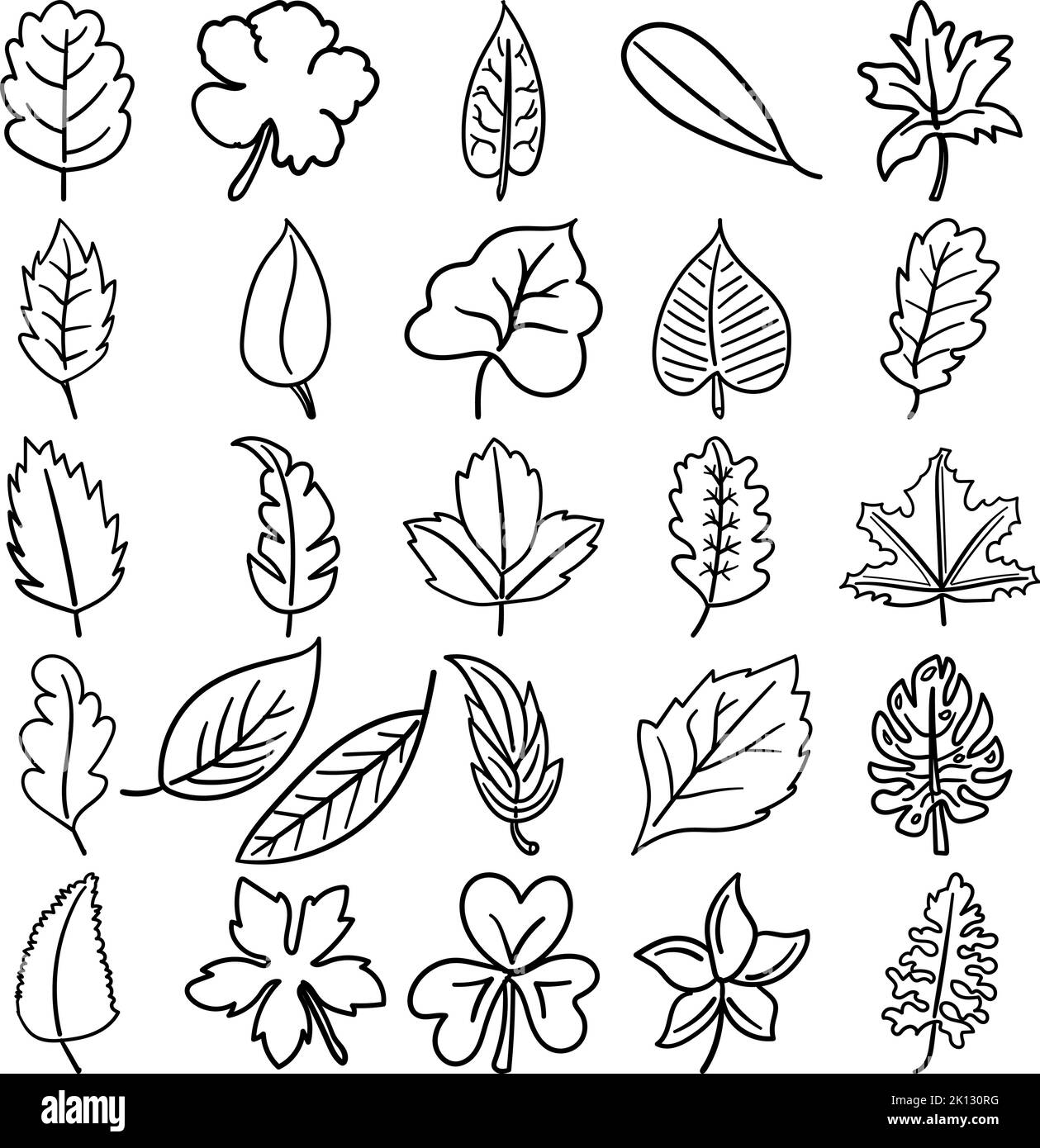 Hojas Dibujadas a mano Línea Doodle Diseño que contiene hoja, hojas