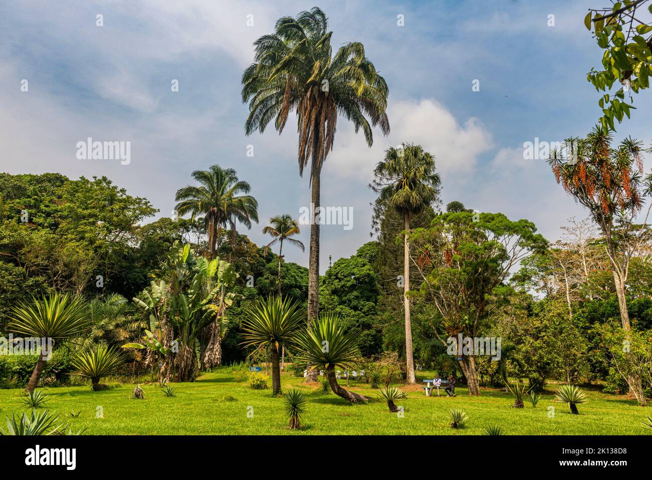 Jardines botánicos de Kisantu, Kisantu, República Democrática del Congo, África Foto de stock