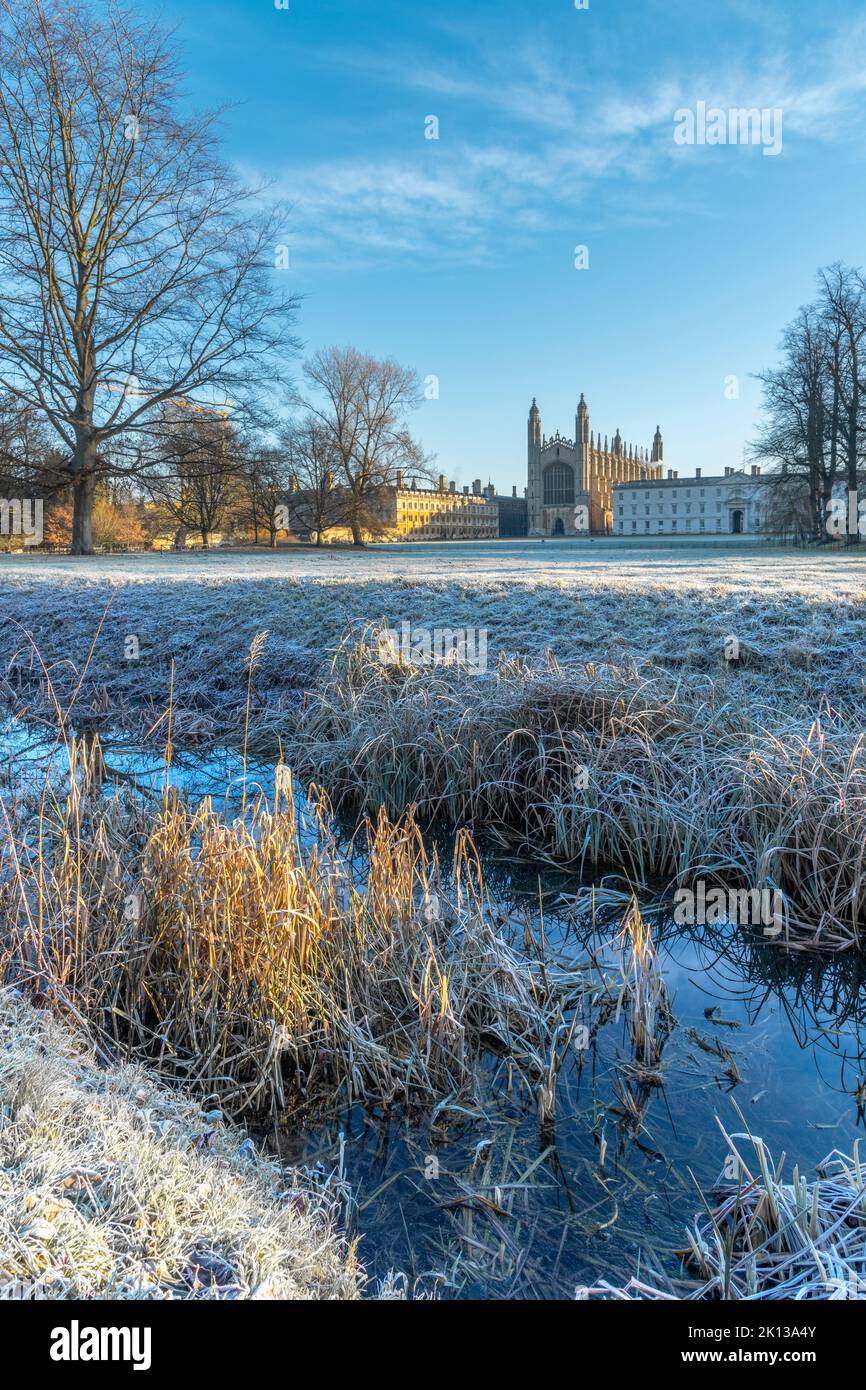 King's College Chapel, King's College, The Back, Universidad de Cambridge, Cambridge, Cambridgeshire, Inglaterra, Reino Unido, Europa Foto de stock