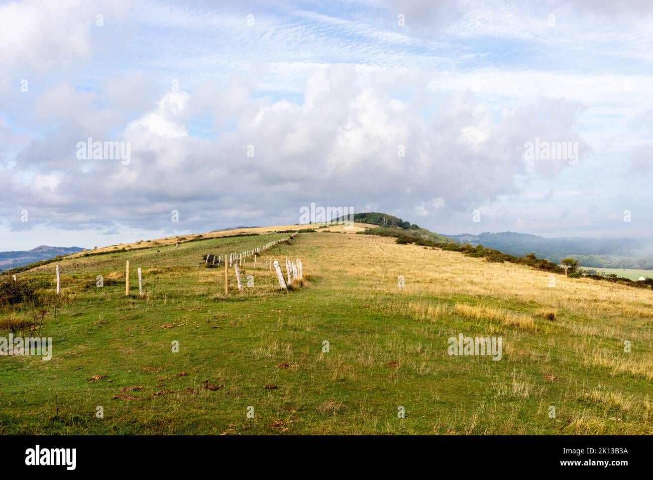 Vista de la campiña de Dorset en Corfe en una soleada mañana de septiembre Foto de stock