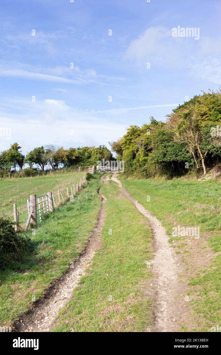 Camino rural que conduce hacia Knowle Hill y Cockknowle en la isla de Purbeck, Dorset, Inglaterra Foto de stock