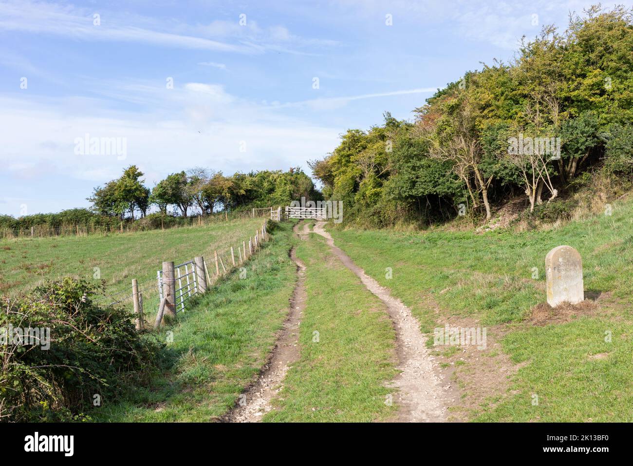 Camino rural que conduce hacia Knowle Hill y Cockknowle en la isla de Purbeck, Dorset, Inglaterra Foto de stock