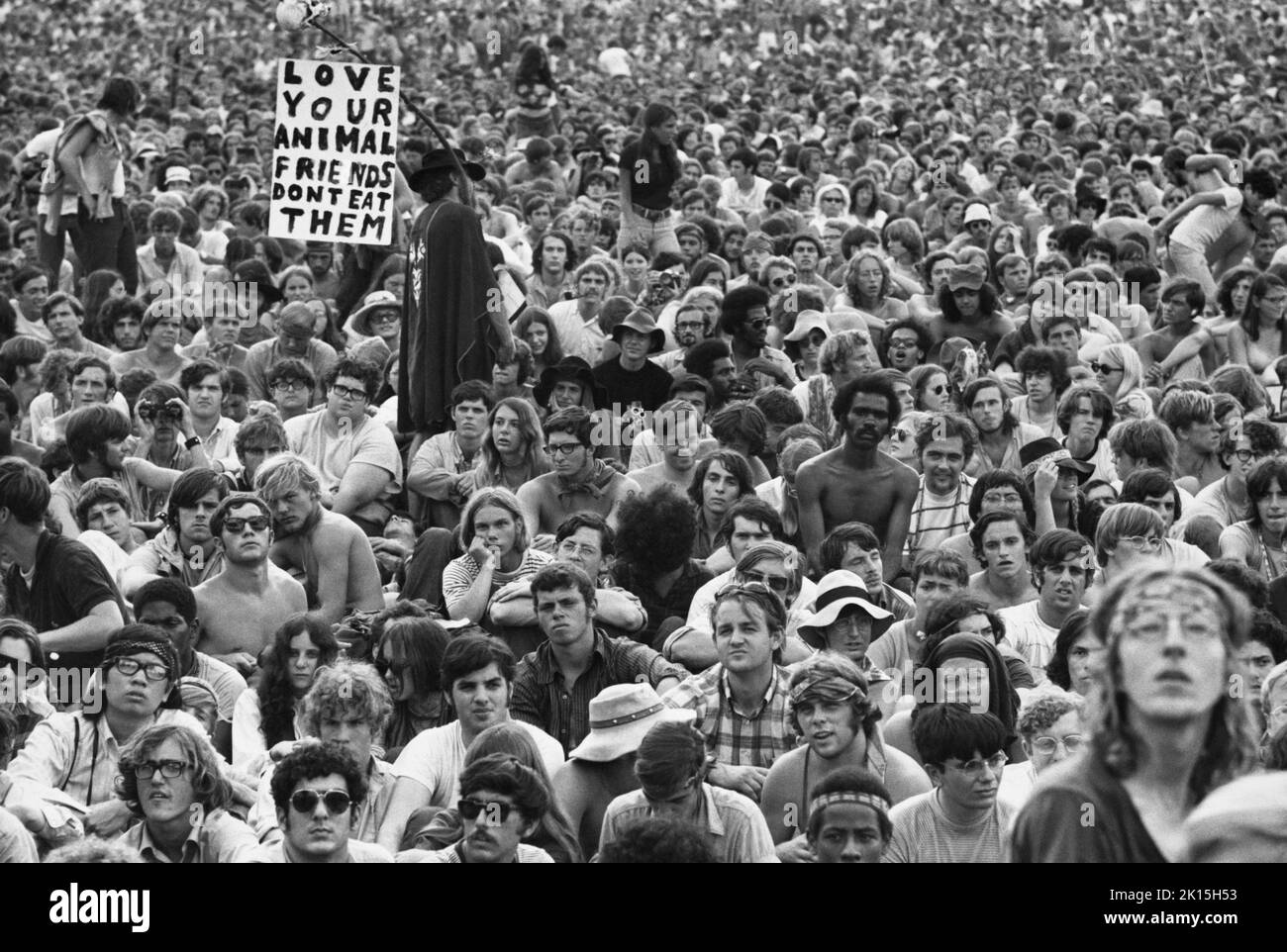 Una mirada a parte de la multitud en el Woodstock Music Festival; 1969. Foto de stock