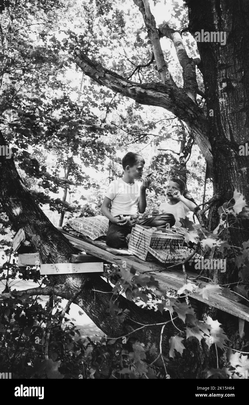 Dos hermanos comparten una comida en su casa del árbol. West Hartford, Connecticut. Foto de stock
