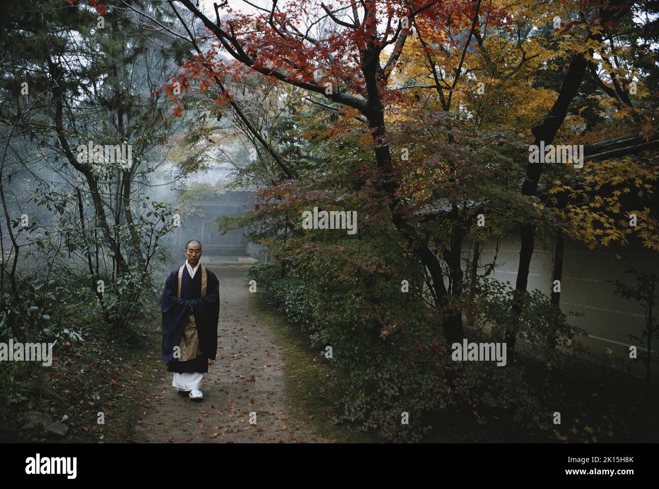 Sacerdote budista caminando en el jardín del templo. Kioto, Japón. Foto de stock