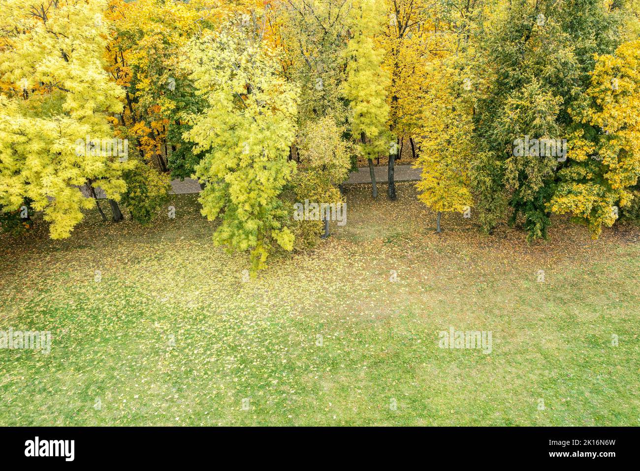 paisaje del parque de otoño en colores cálidos con césped verde cubierto de hojas caídas. vista aérea por encima de la cabeza. Foto de stock