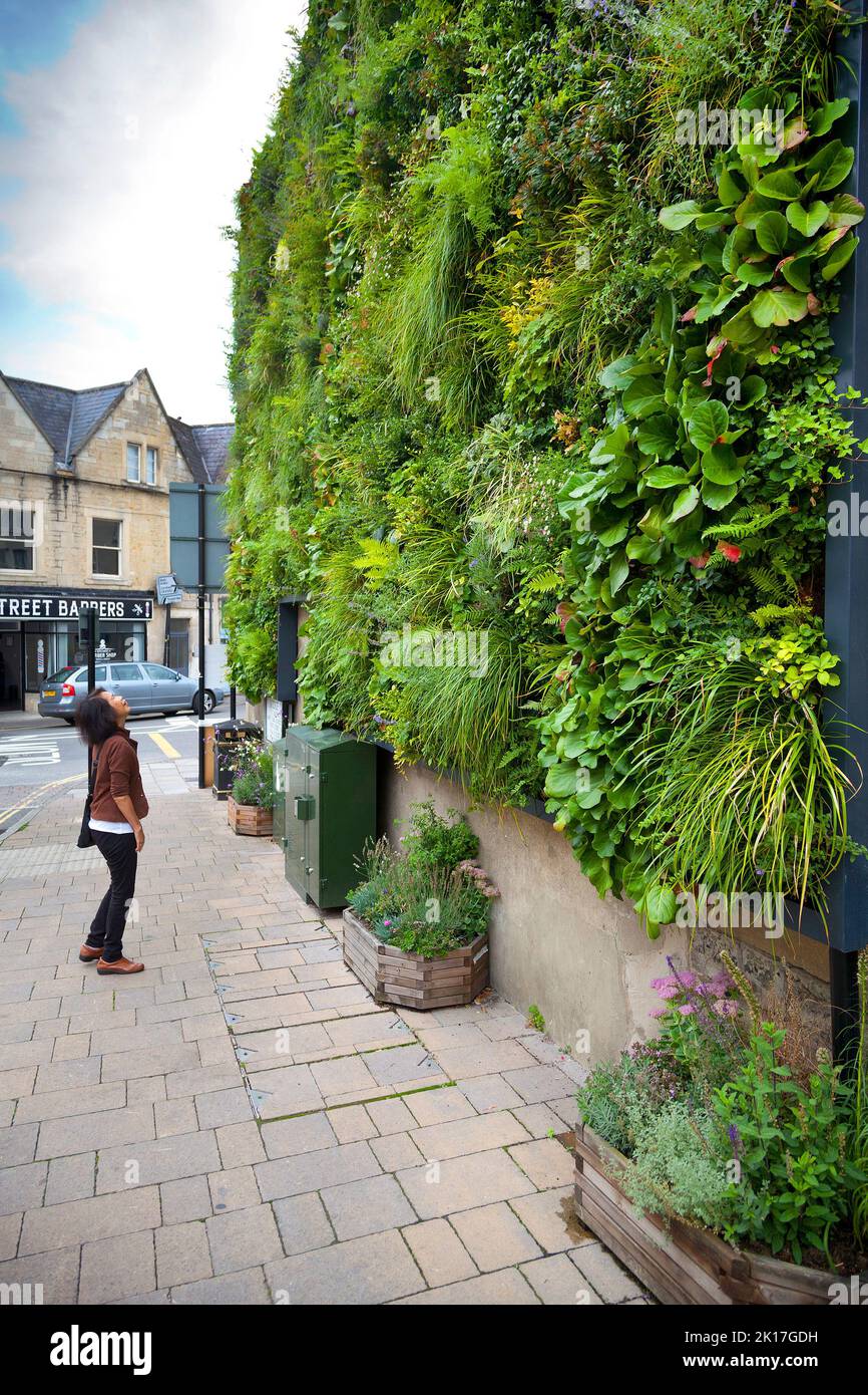 Pared de vivienda de jardín vertical, Bradford on Avon Foto de stock
